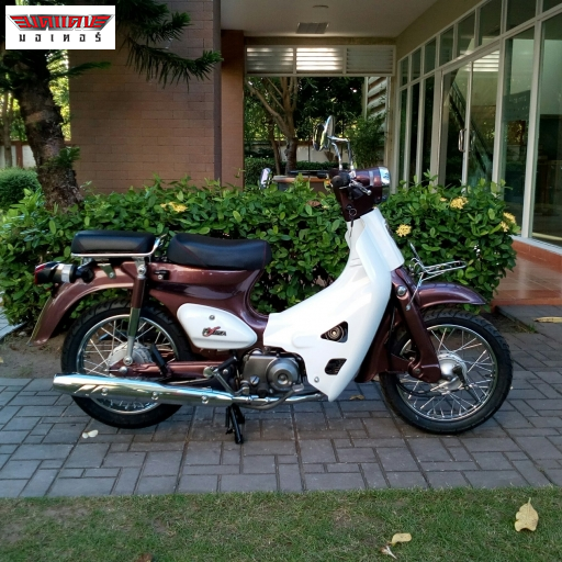CLASSIC mini ขอบ 14